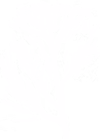 yarrow-white-20-2_3x.png
