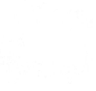 calendula-white-20-4_3x.png