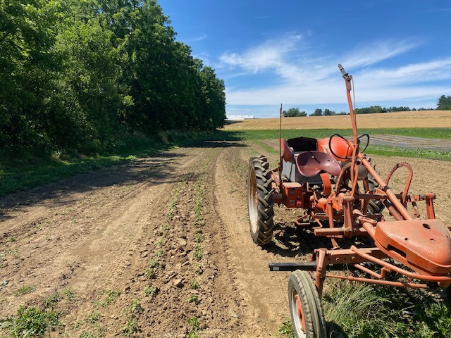We’ve been savoring these cooler temperatures. After several massive storms that brought down a handful of large trees, the skies cleared, leaving us with sunshine and a light breeze. It was the perfect day for transplanting lemon verbena—and for me (Eli) to spend some time on our Allis-Chalmers G.

This vintage tractor came to us as one of the most meaningful gifts we’ve ever received. The board of directors and farmers in our co-op knew we were interested in exploring lighter cultivation methods as an alternative to plastic mulch. 

A retiring farmer was selling his recently converted electric, battery-powered Allis-Chalmers G. The farmers seized the opportunity and, in a surprise we’ll never forget, presented it to Casey and me in the warehouse, complete with a bow made of fresh greens.

Every time we use it, we’re reminded of the generosity, support, and community that make this work possible. @lancasterfarmfresh 

This incredibly quiet tractor has felt like the perfect fit for me after surviving major brain surgery for a large meningioma tumor I was plagued with. Since my diagnosis and craniotomy, my senses have been incredibly heightened, and sound and vibration from most mechanized equipment we use on the farm have become difficult to be around. 

I am dedicating this season and year ahead to my recovery, rebuilding, and learning new ways to move forward. While working part-time on the farm, I’ve found that I can still contribute with some of the time sensitive field work to help move the season along. The G moves at a turtle "creeping speed" but sure gets a big area done way faster. 

Surviving this experience has reminded me that so much is possible. Healing happens. The body is resilient. Every day offers a chance to pivot, adapt, and grow in new ways.

I’m deeply grateful for the opportunity to keep evolving, keep learning, and stay connected to the work I am called to and love. I’m discovering a new pace, learning how to move more sustainably. I am excited for our dedicated and incredible crew helping make it all happen. Here’s to growth, resilience, and whatever comes next.
2026, let’s go! 🌱🌱🌱