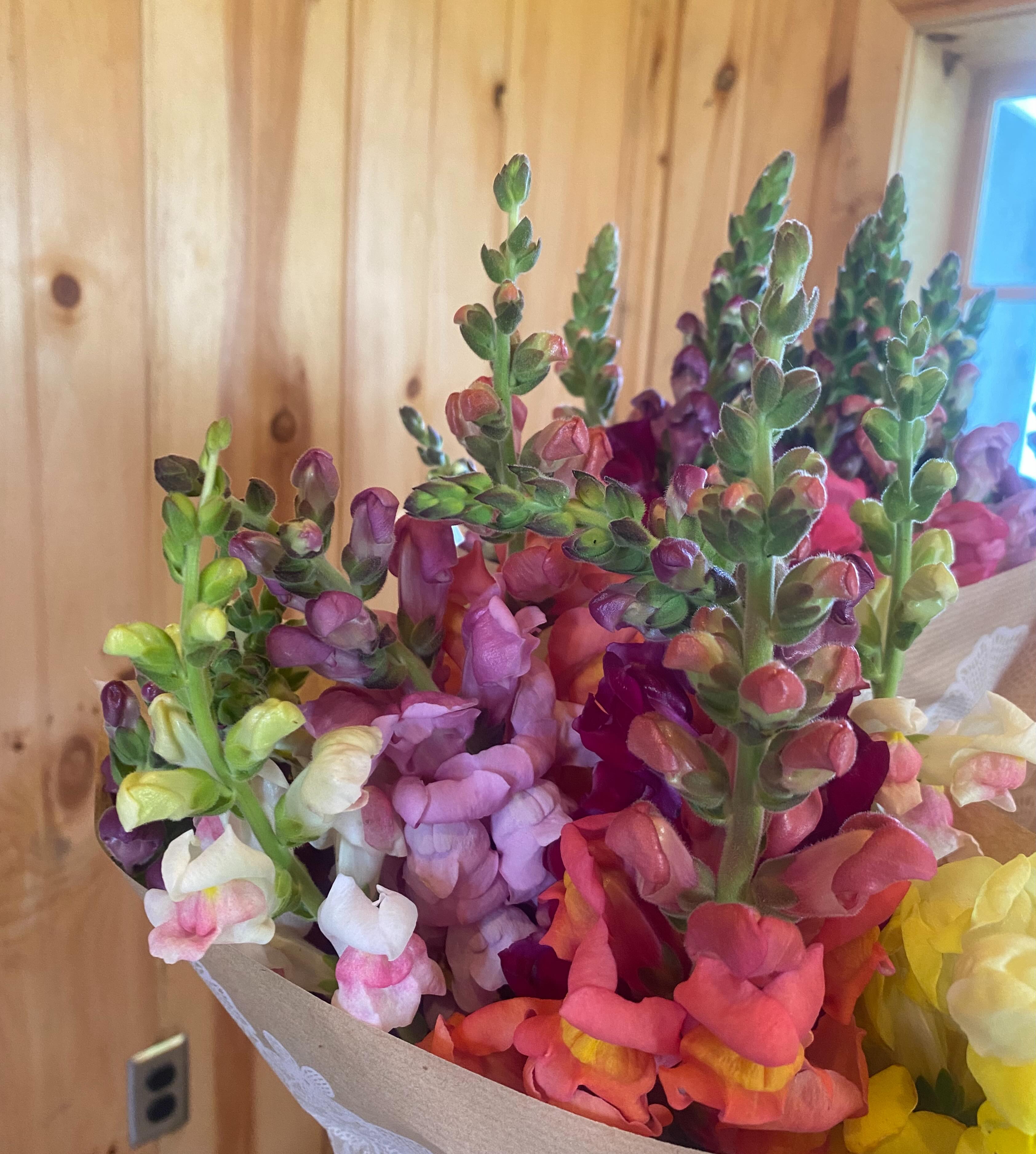 🌸We have a rainbow selection of snapdragons, foxglove and some mixed flower bouquets at the farm store this week! 

Potted herbs like rosemary, lavender, holy basil, hibiscus and more 

Our herbal product line including samples of our Hydrosols. 

Open Tuesdays-Saturdays 10-4pm 
397 Letort rd 
Millersville Pa